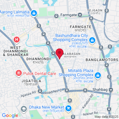 Google Maps static image